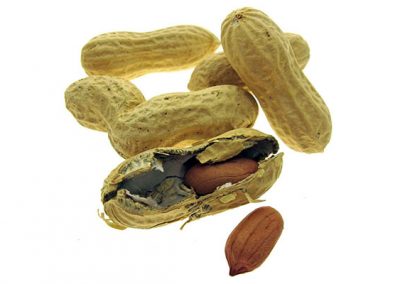 Peanut