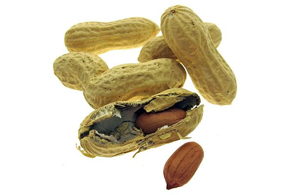 Cacahuete