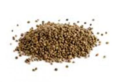 Hemp