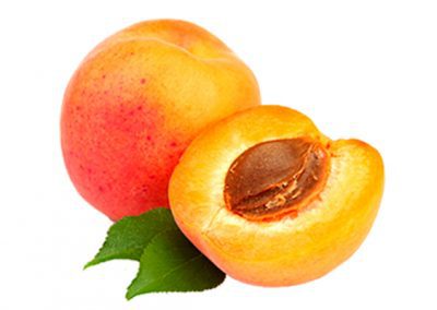 Apricot kernel