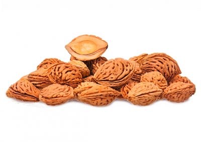 Peach kernel