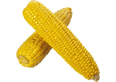 Corn