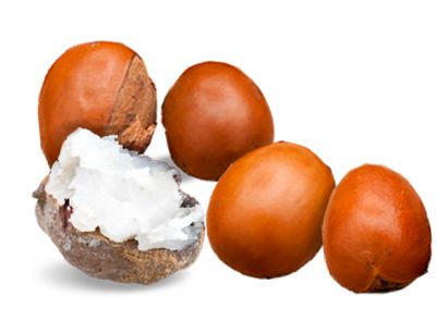 Shea butter