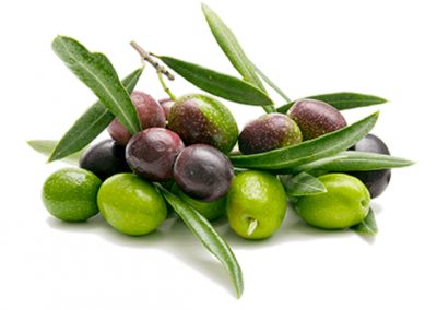 Olive