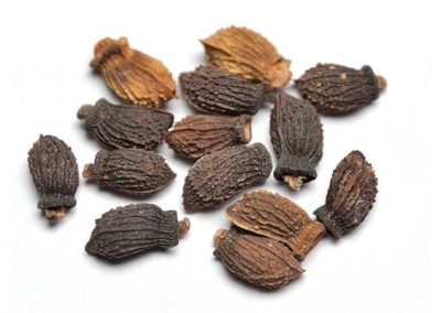 Borage seed