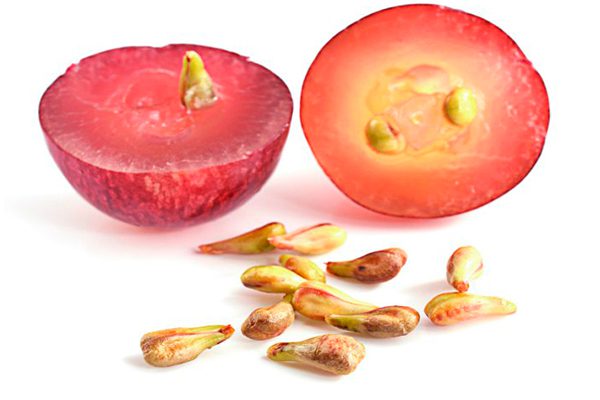 Pépin de raisin
