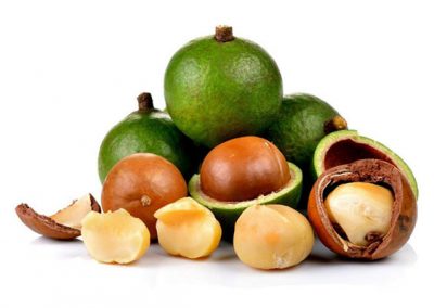 Macadamia nut