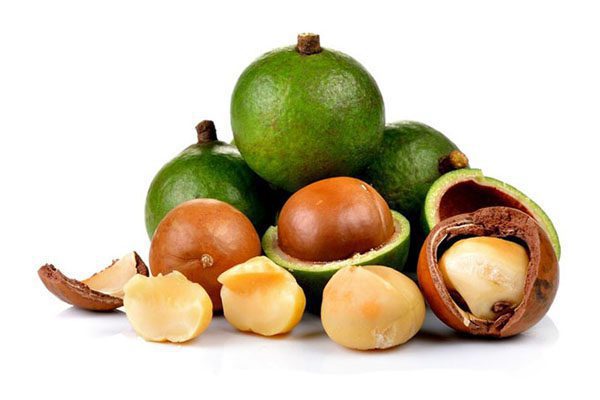 Nuez de macadamia