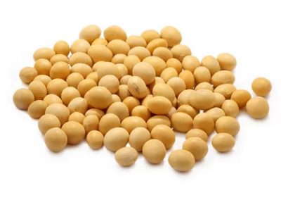 Soy