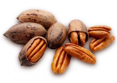 Pecan nut