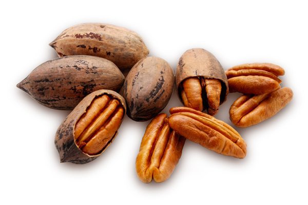 Nuez de pecán