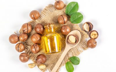 Aceite de avellana: usos y beneficios